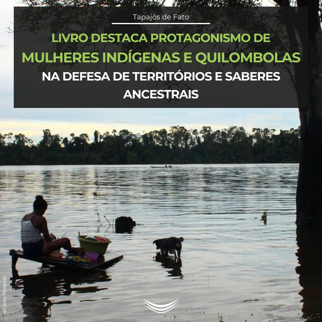 Comissão Pró-Índio de São Paulo tweet media