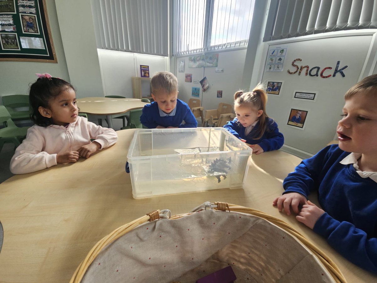 Rockingham J&I tweet media