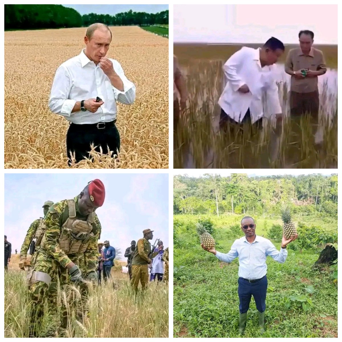 Vous connaîtrez la vérité et la vérité vous affranchira !
<a href="/cairtou/">Cairtou Nguelifack vijilin🇷🇺🇨🇲🇨🇳</a>