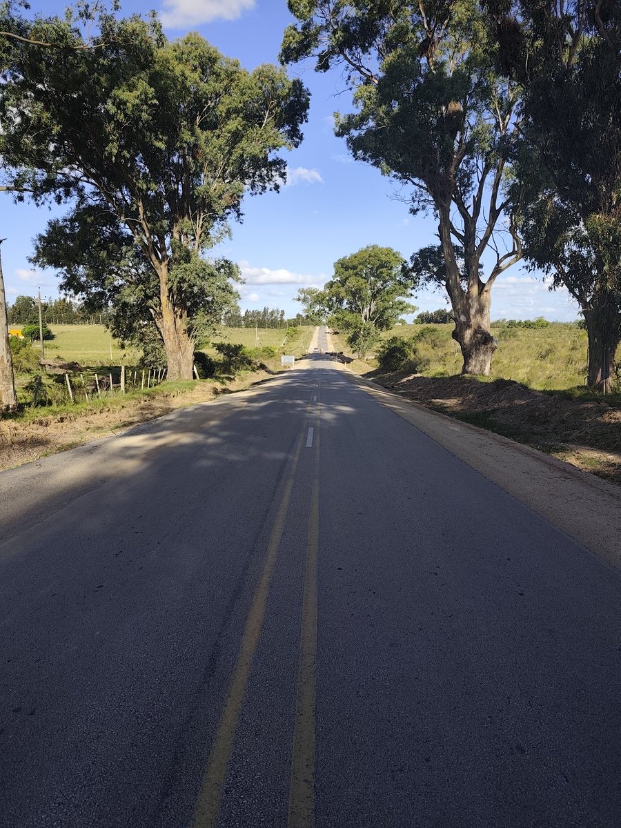 Joselo Hernández tweet media