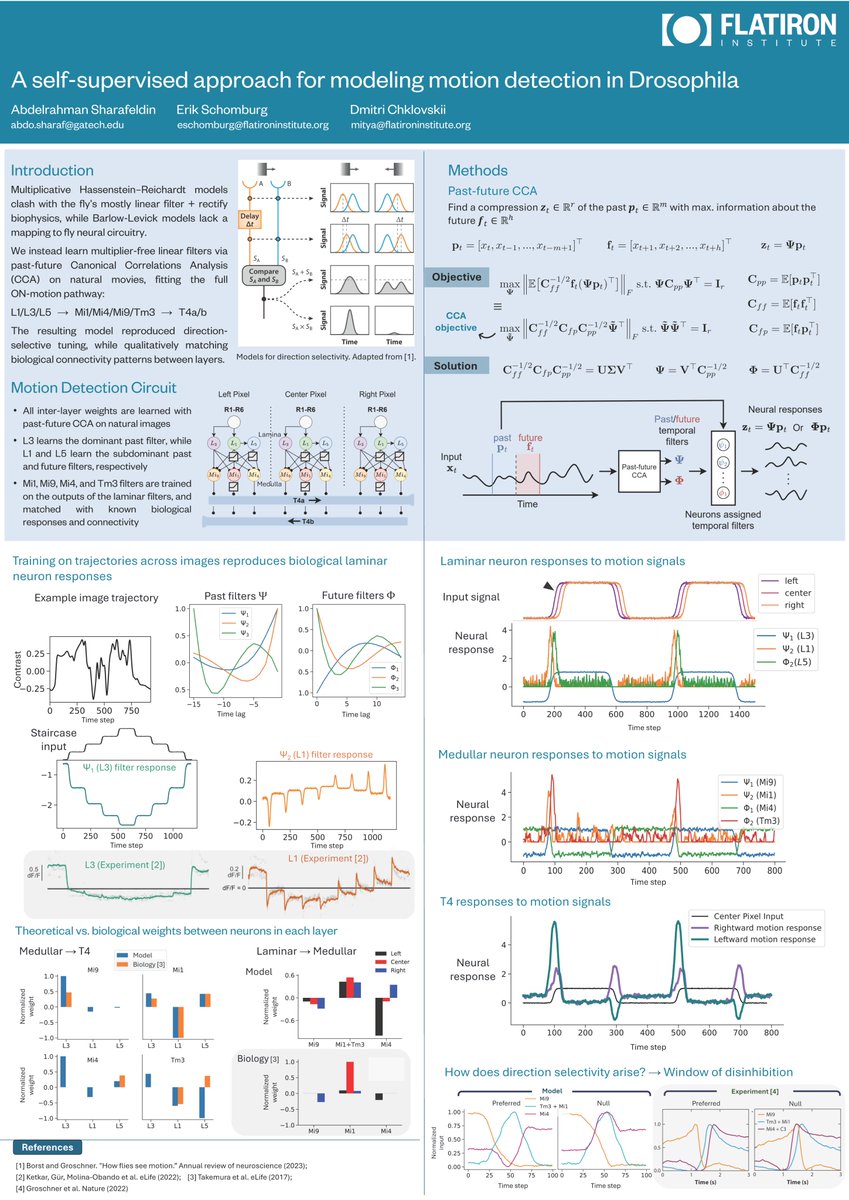 Dmitri "Mitya" tweet media