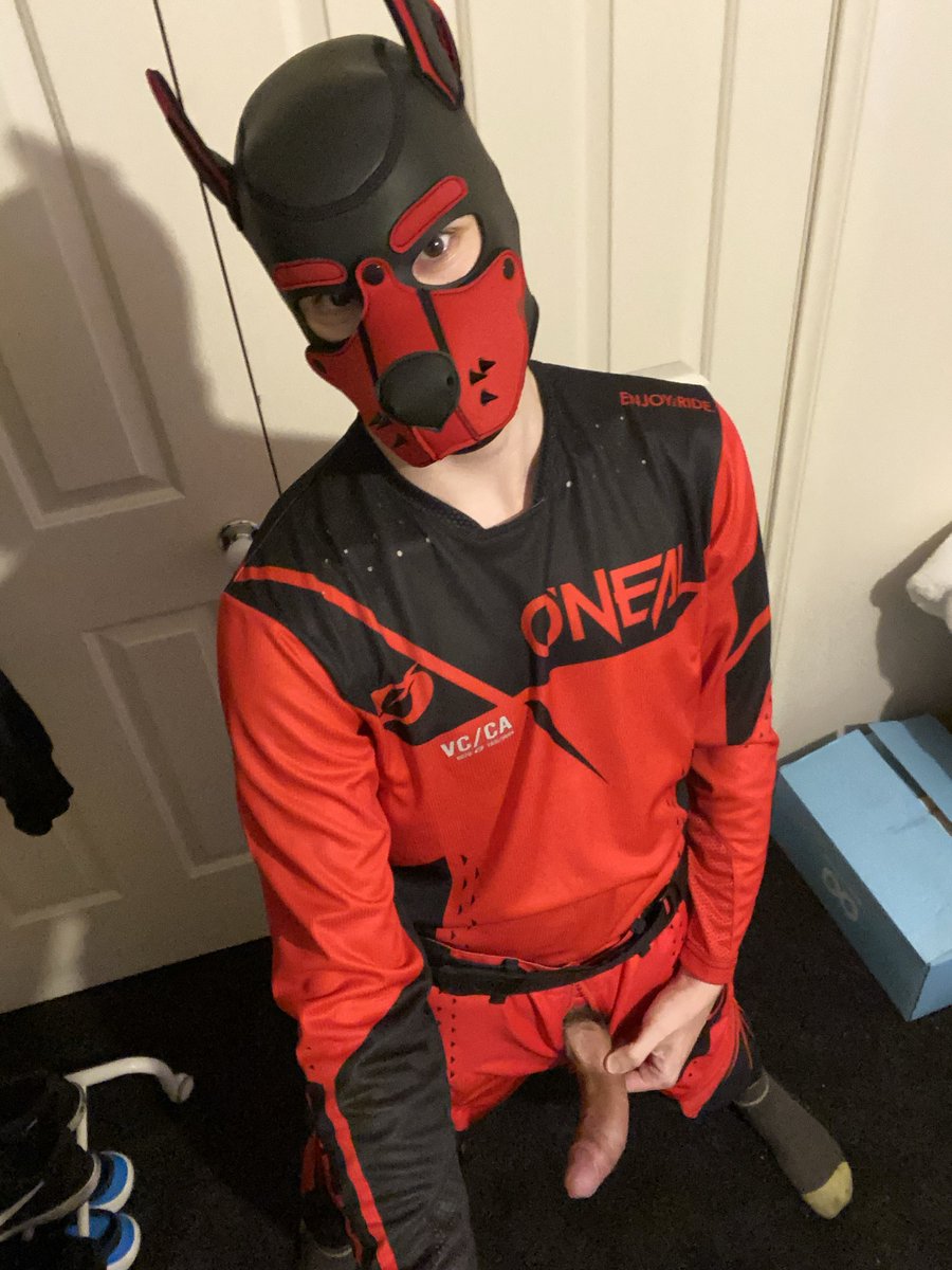 Pup Victus tweet media