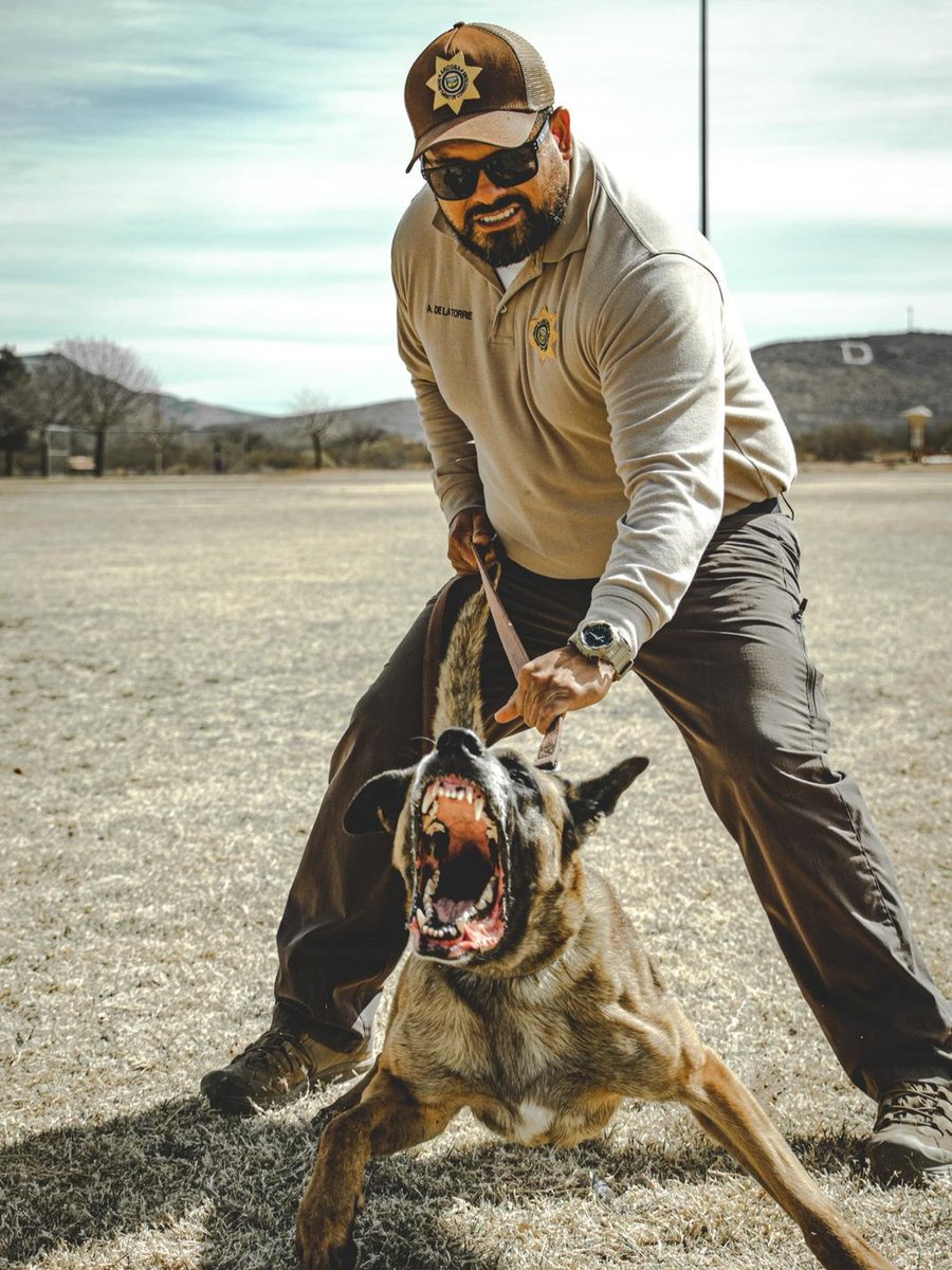 GOVX.com tweet media