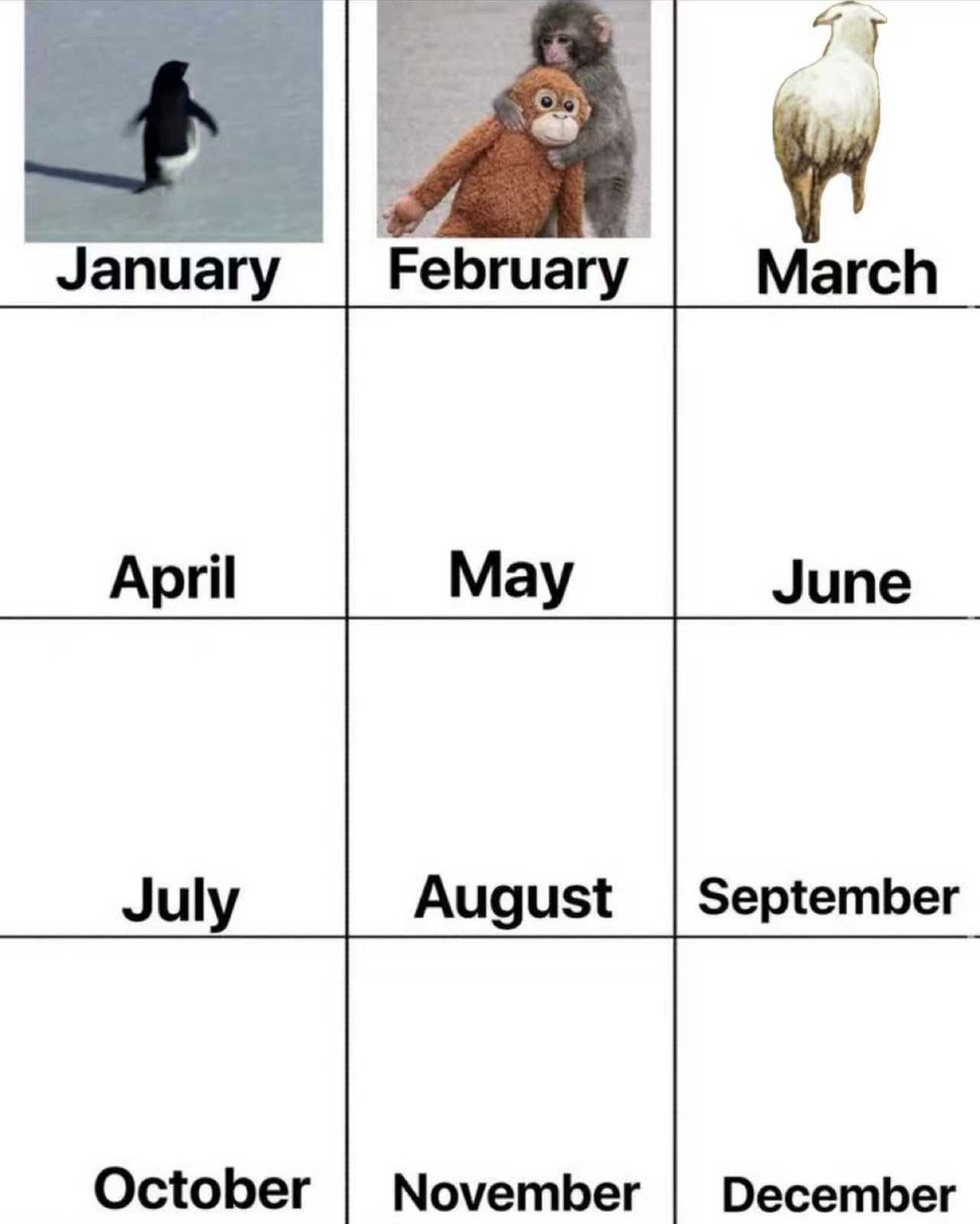 pizza哥 tweet media