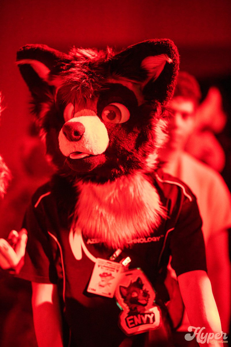 Envy 🔜 LVFC tweet media