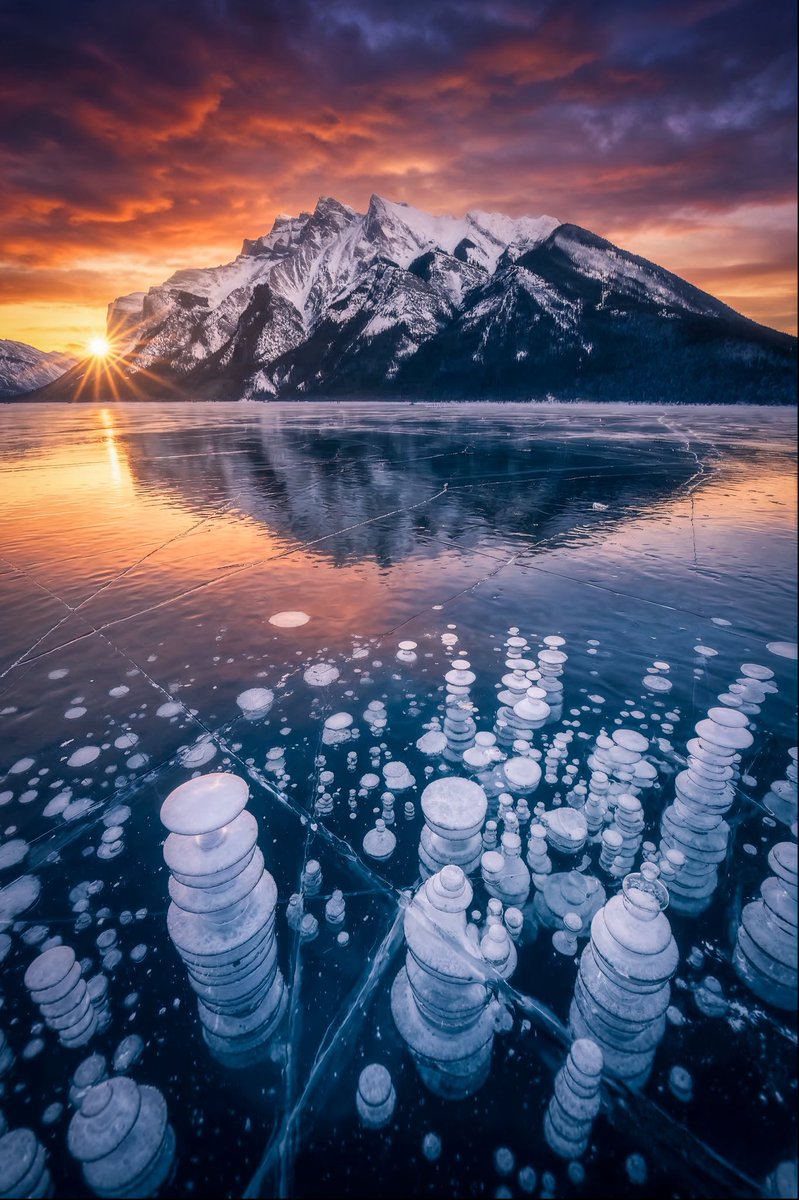 ✞ Daniel tweet media