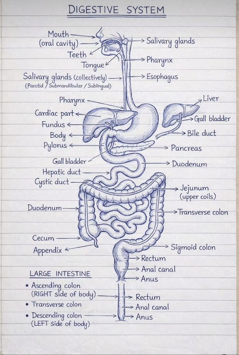 Things Worth Learning tweet media