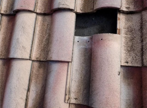 RoseKen91's tweet photo. The recent forensic study on roofing systems in Tampa after Hurricanes Helene and Milton offers some fascinating insights for structural engineers. By examining over 30 residential roofs, the investigation highlighted how wind pressures interact with roof discontinuities - corners, edges, and ridges - which are often the first points of damage during severe storms.

What stood out is how careful adherence to installation standards and building codes critically determines a roof’s resilience. They generally performed well when fasteners, adhesives, and manufacturer guidelines were correctly followed. Failures were mostly linked to installation deficiencies, material aging, or deferred maintenance, not the wind itself.

For anyone working in coastal regions, these lessons are invaluable for improving resiliency and protecting buildings before the next storm hits.

https://t.co/9wJOIdbQ9k