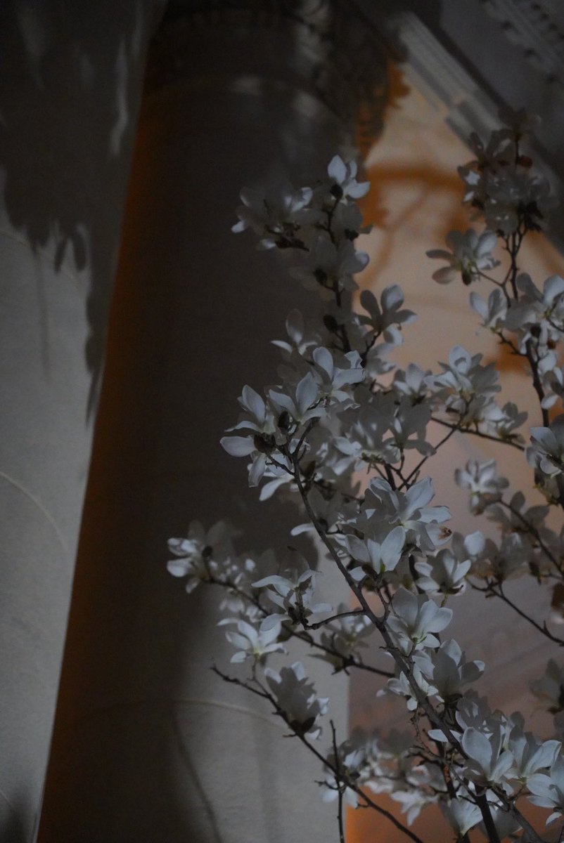 累累小狗 tweet media