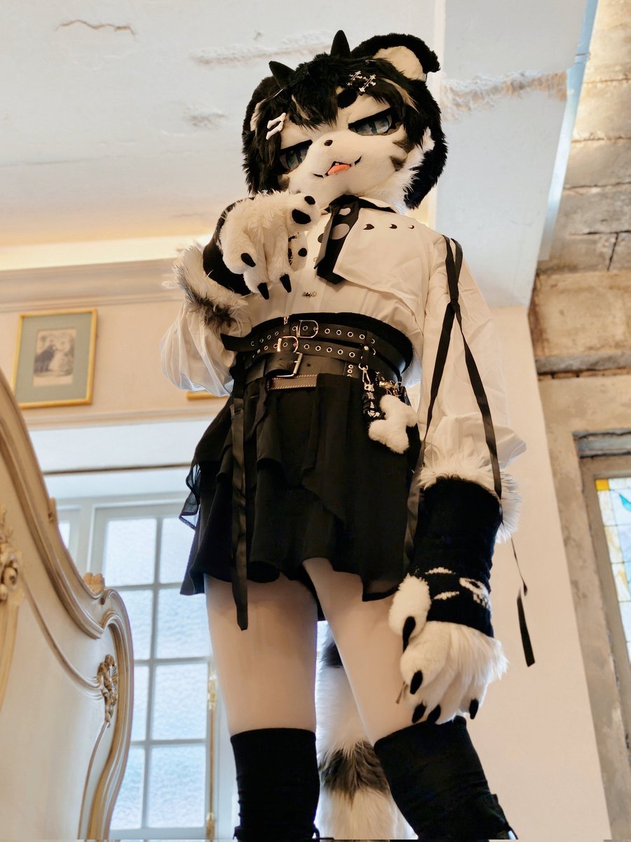 Not_Chiri's tweet photo. 재워주마...... 평생!

📸: @AHNI_fur 
#FursuitFriday https://t.co/zAqqyyexTM