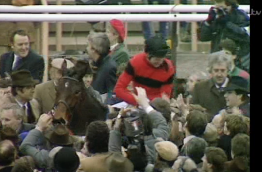 Tony Paley tweet media