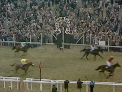 Tony Paley tweet media