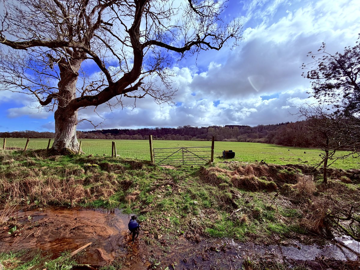 liam_lovell's tweet image. Lanercost Priory with some sunny spells and a bitter windchill, feeling more like winter today 🌤️🥶

#cumbria #loveukweather #spring