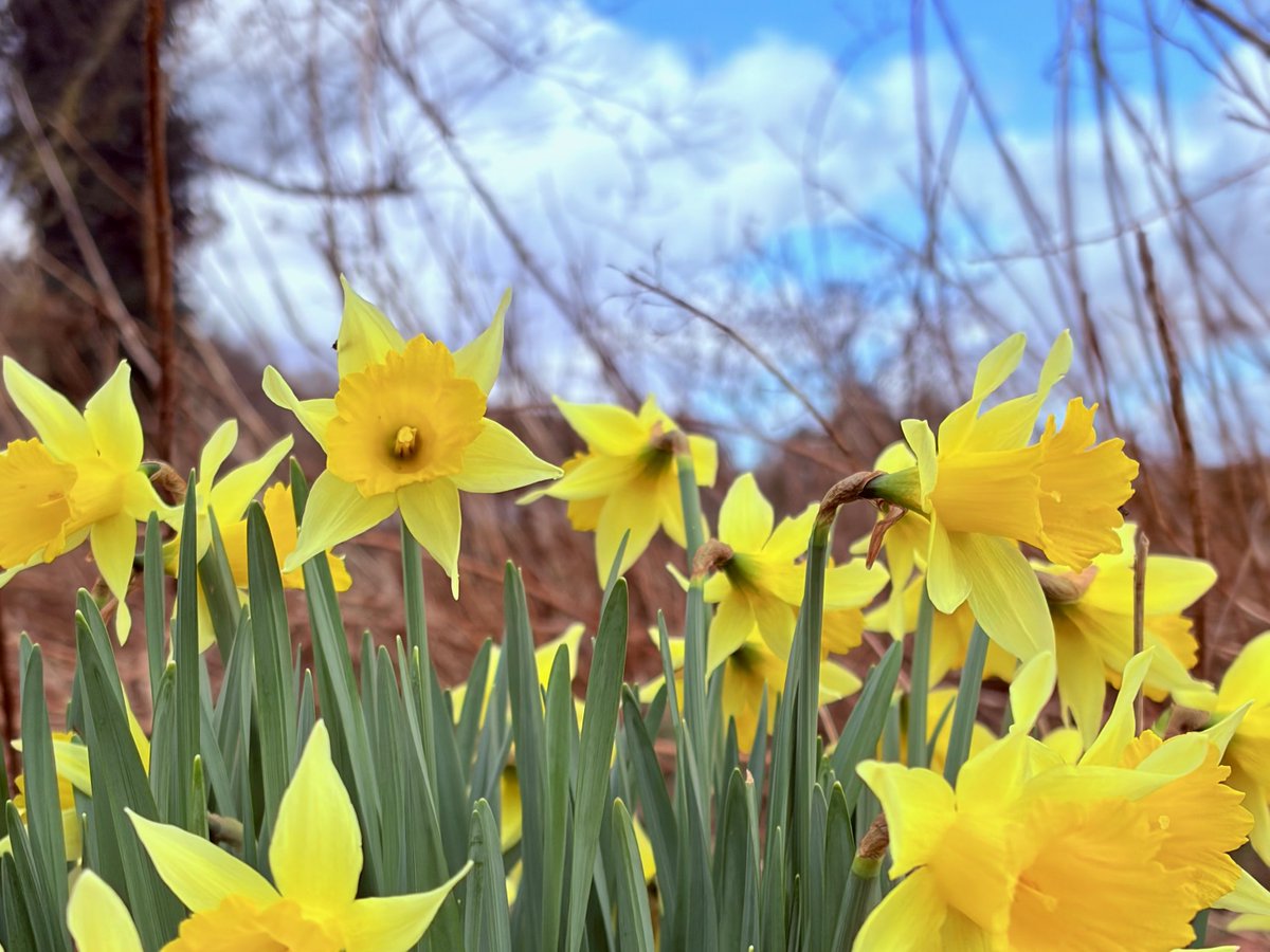 liam_lovell's tweet image. Lanercost Priory with some sunny spells and a bitter windchill, feeling more like winter today 🌤️🥶

#cumbria #loveukweather #spring