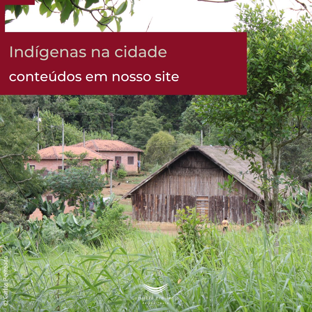 Comissão Pró-Índio de São Paulo tweet media