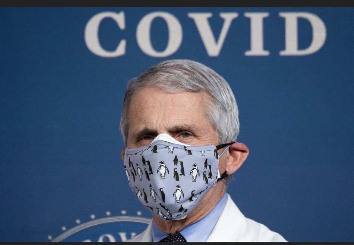 It's 🇺🇸 Tiff 🇺🇸 tweet media