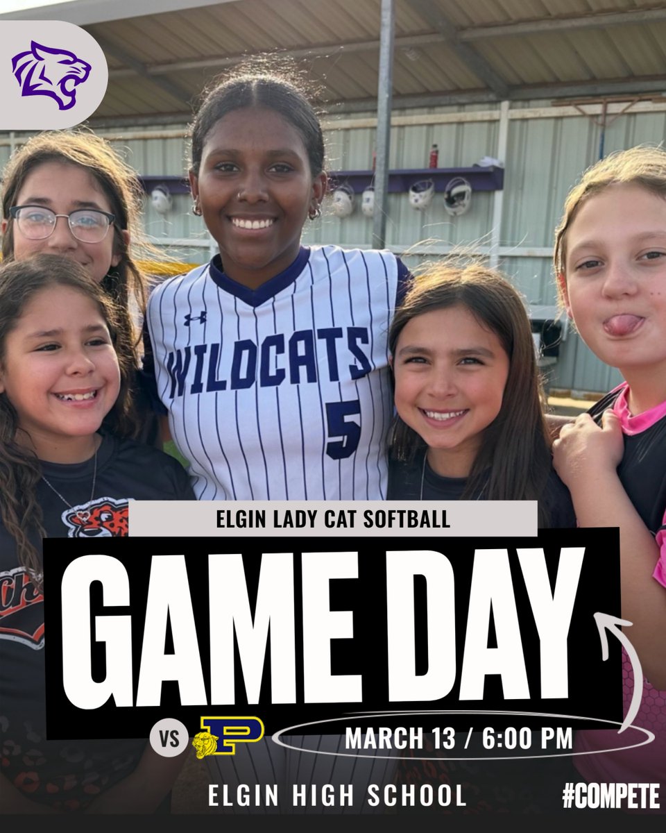 Elgin Softball tweet media