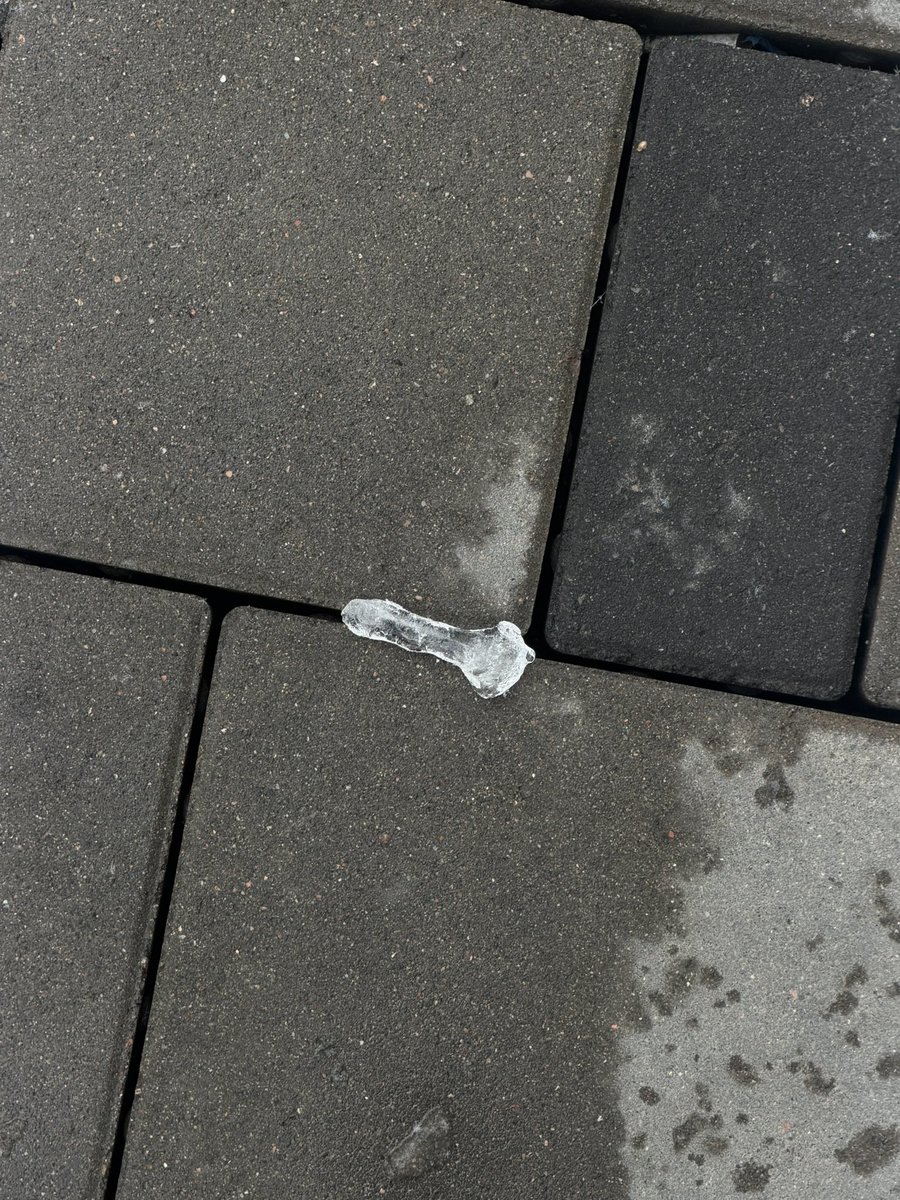 насця tweet media