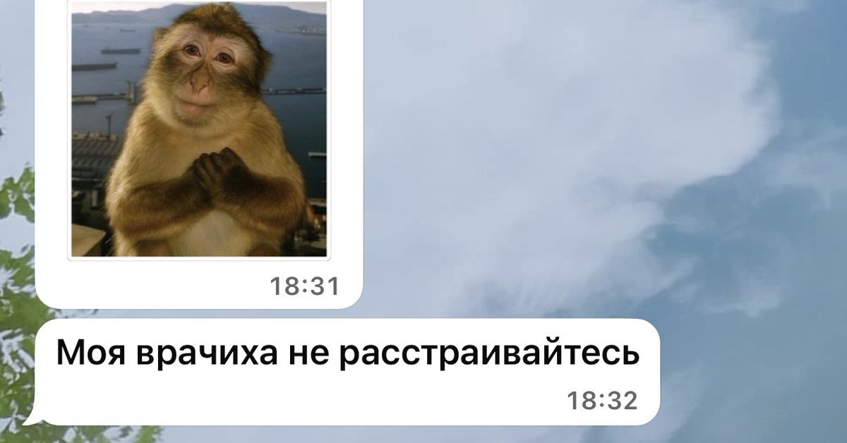 насця tweet media