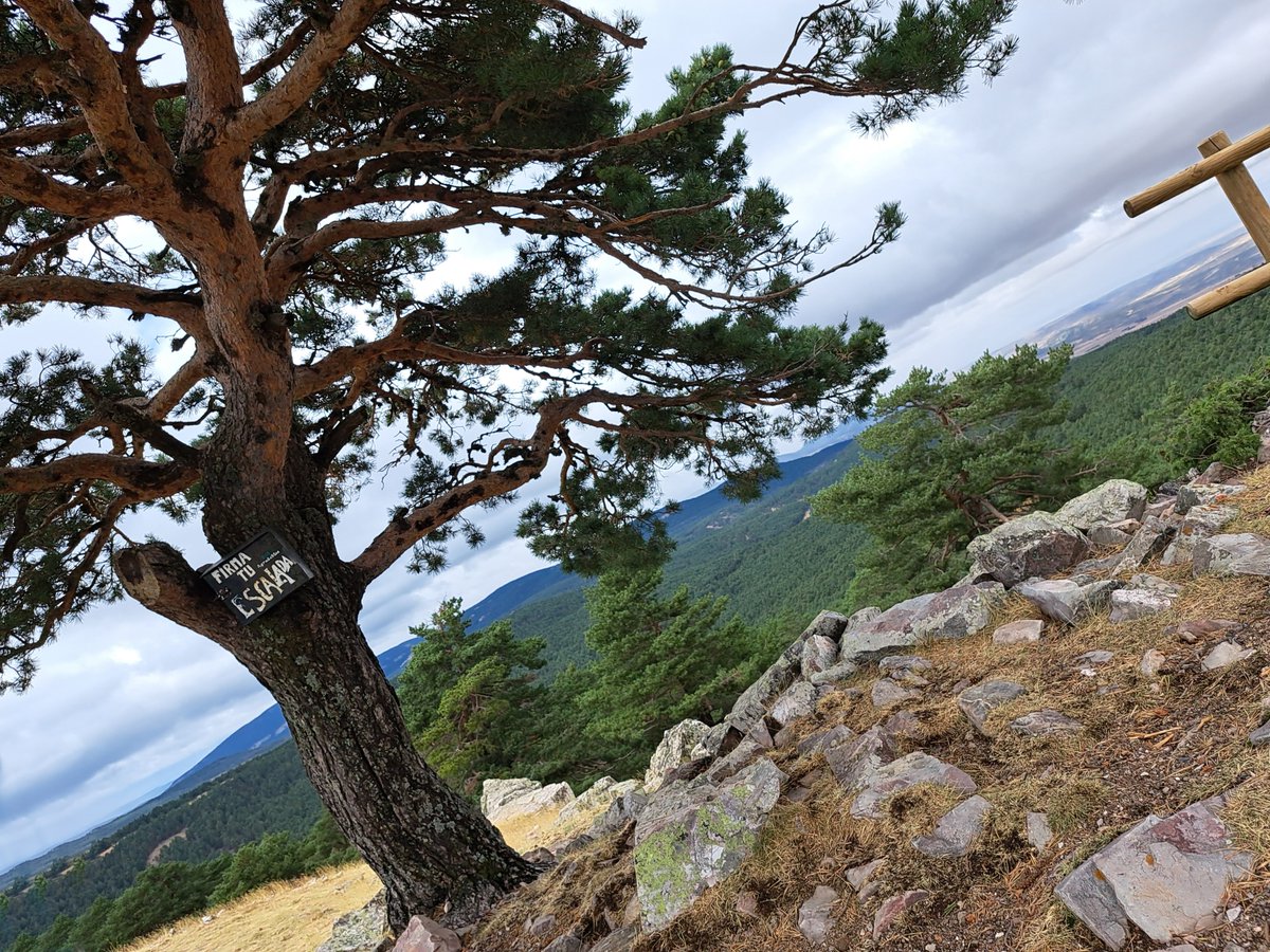 TurismoAlbarracin tweet media