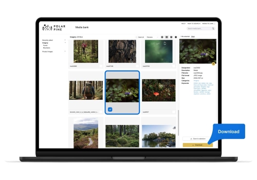 SoftGuide tweet media
