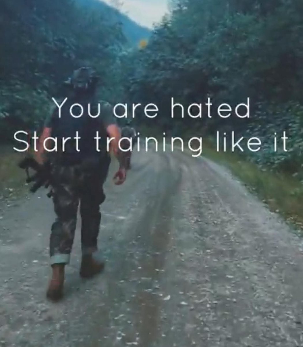 The LeX Files tweet media