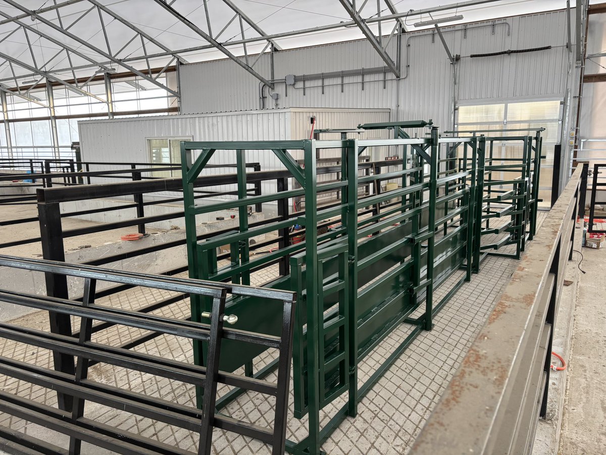 Josh Butler tweet media