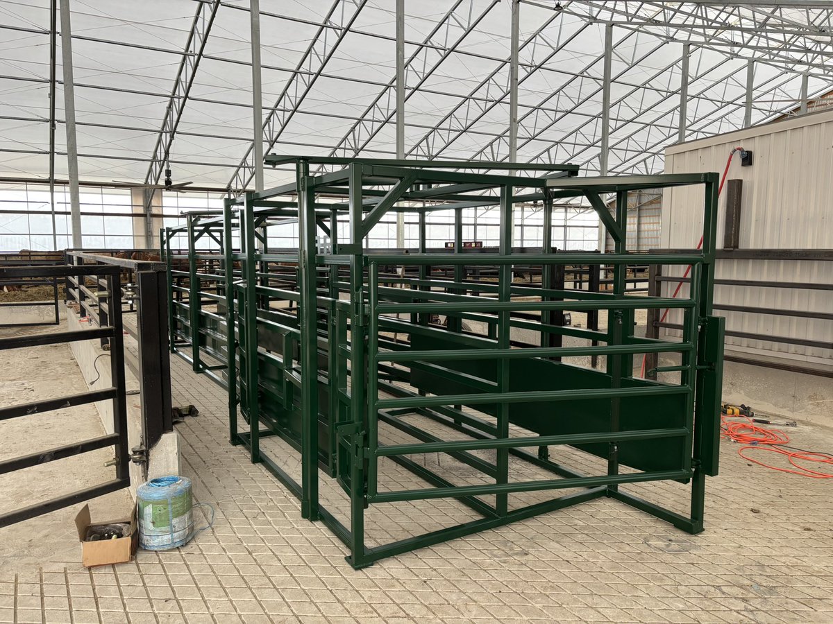 Josh Butler tweet media