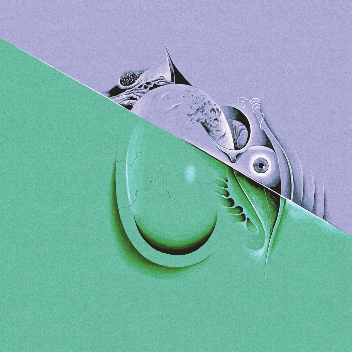 Robert Beatty tweet media