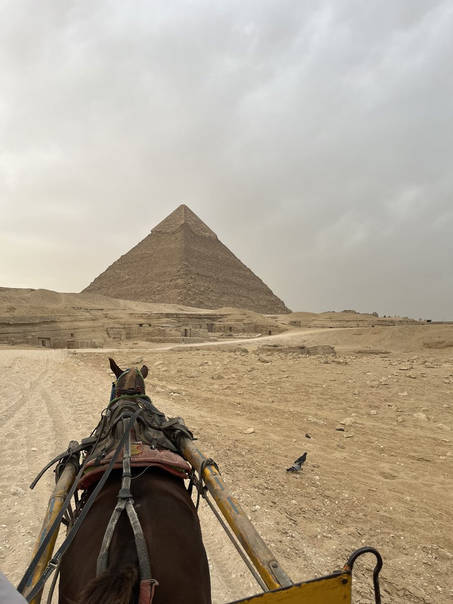 RAF proxima tweet media