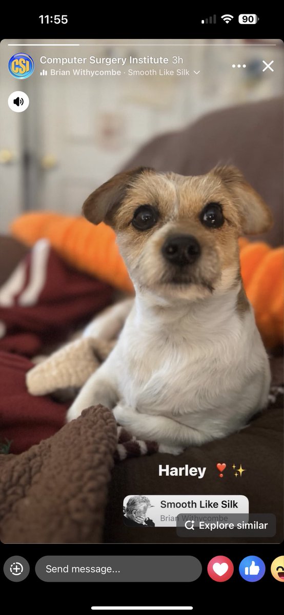 Alvin B. tweet media