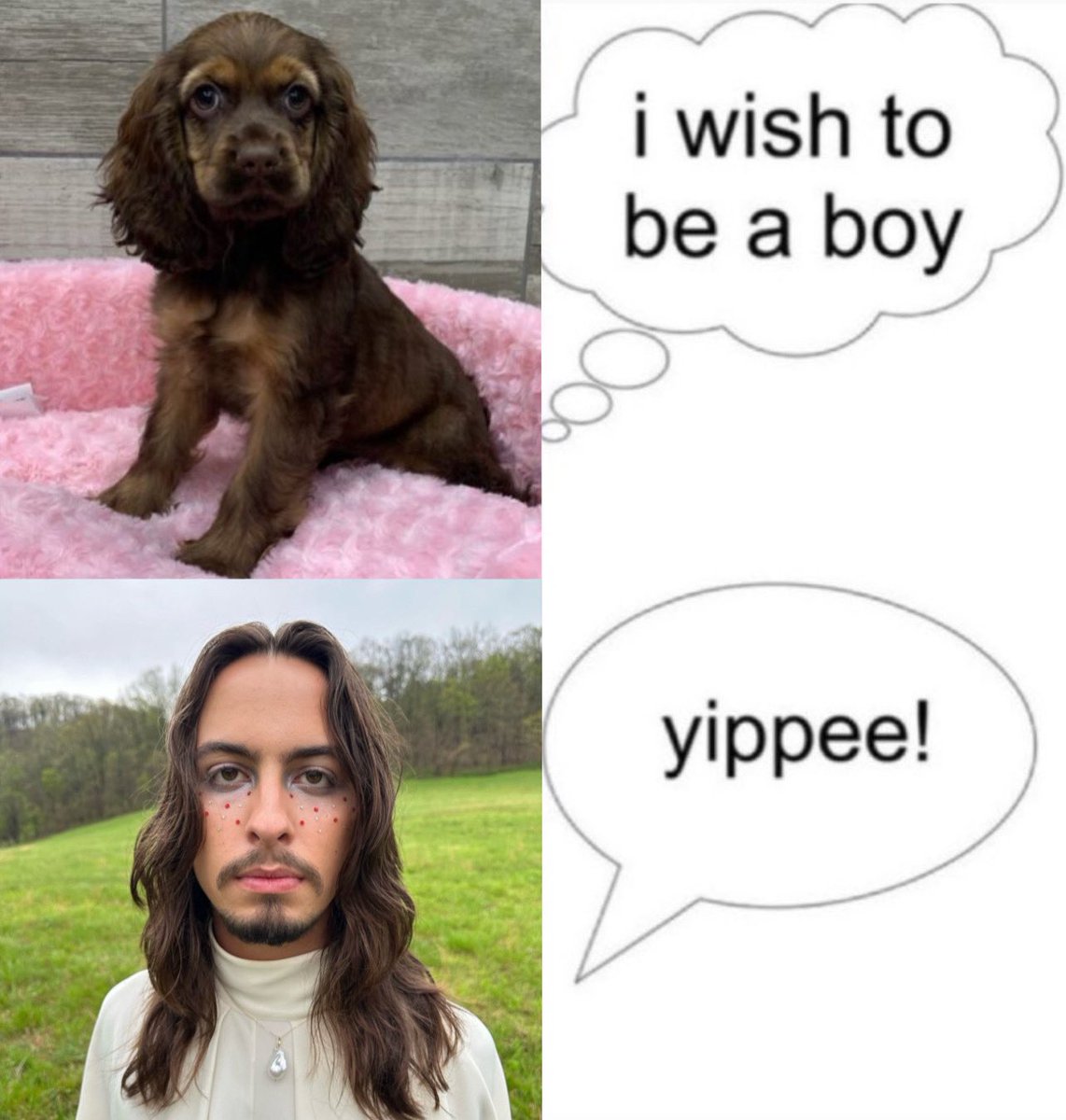 ⋆。⋆ 𓇼beth⋆˚🪩˚⋆ tweet media