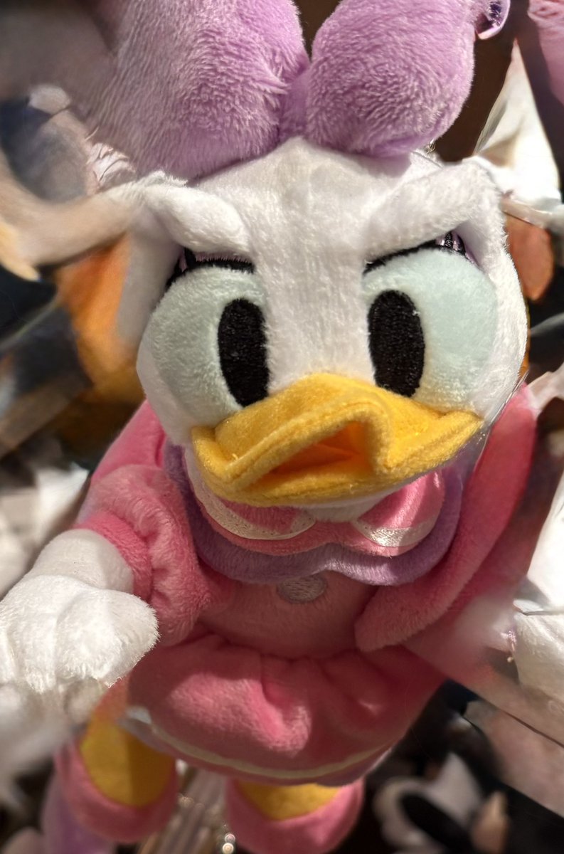 JOHN_RS_'s tweet photo. スーススッススペキャレディオだけど、
今週と来週はお休みなんだって。
残g念gだわ。せつないわ。
#NoSpace
#写真は全g然g関係ねえ https://t.co/0vWODyanev
