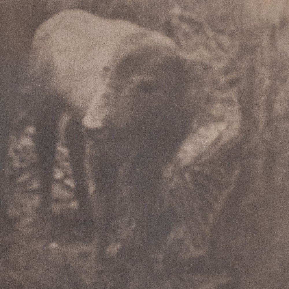 Boomkat.com tweet media