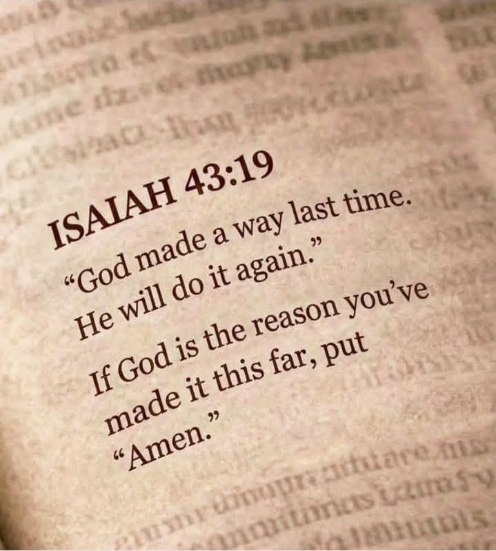 Bible 365 tweet media