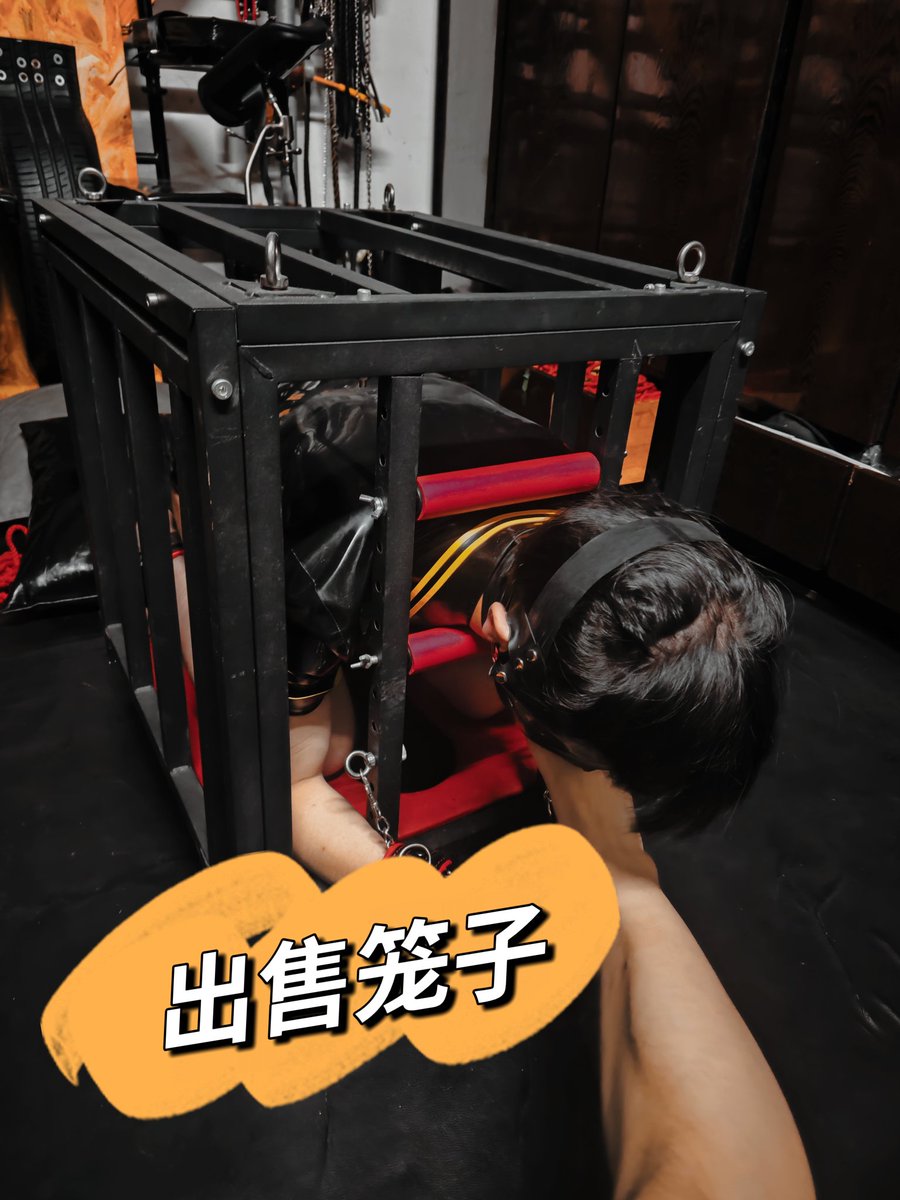 梦景 tweet media