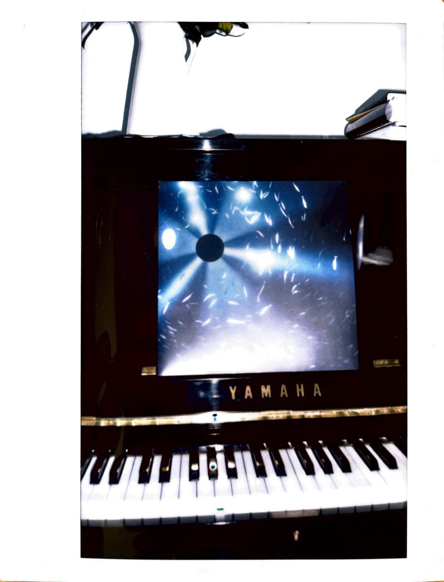 Laurel Halo tweet media