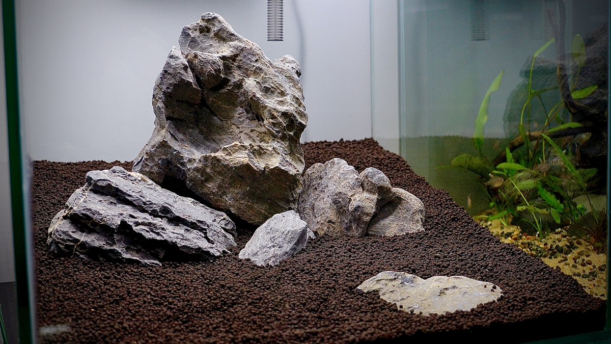 iamaquadreamer's tweet photo. Low Tech Planted Tank (ADA ROCK) 🌱🪨

Full Video is on YouTube!
https://t.co/IiZoyc354T https://t.co/5FQbcCMQNX