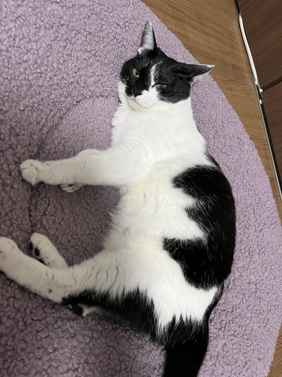 はるき tweet media