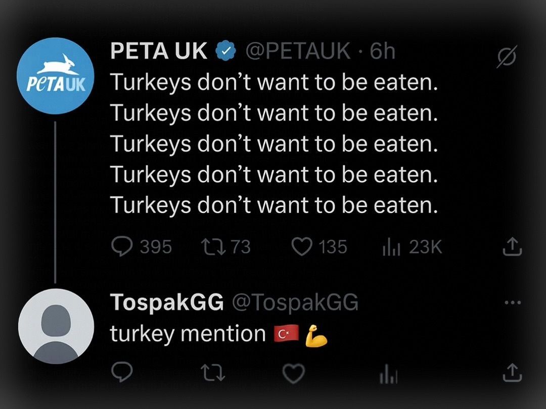 Braindead Bird App tweet media