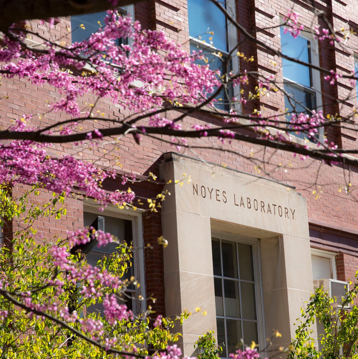 SCSCareersIllinois tweet media