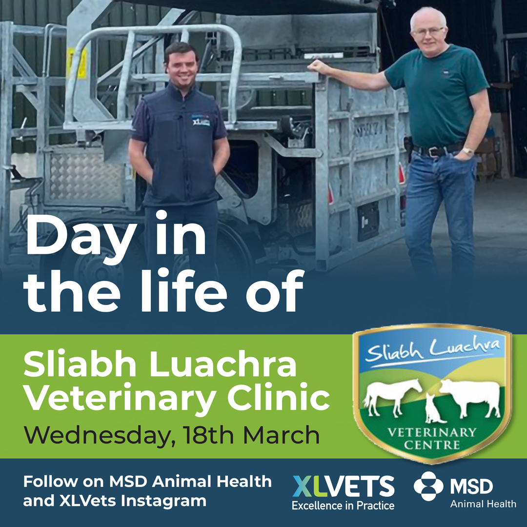 MSD Animal Health - Livestock tweet media