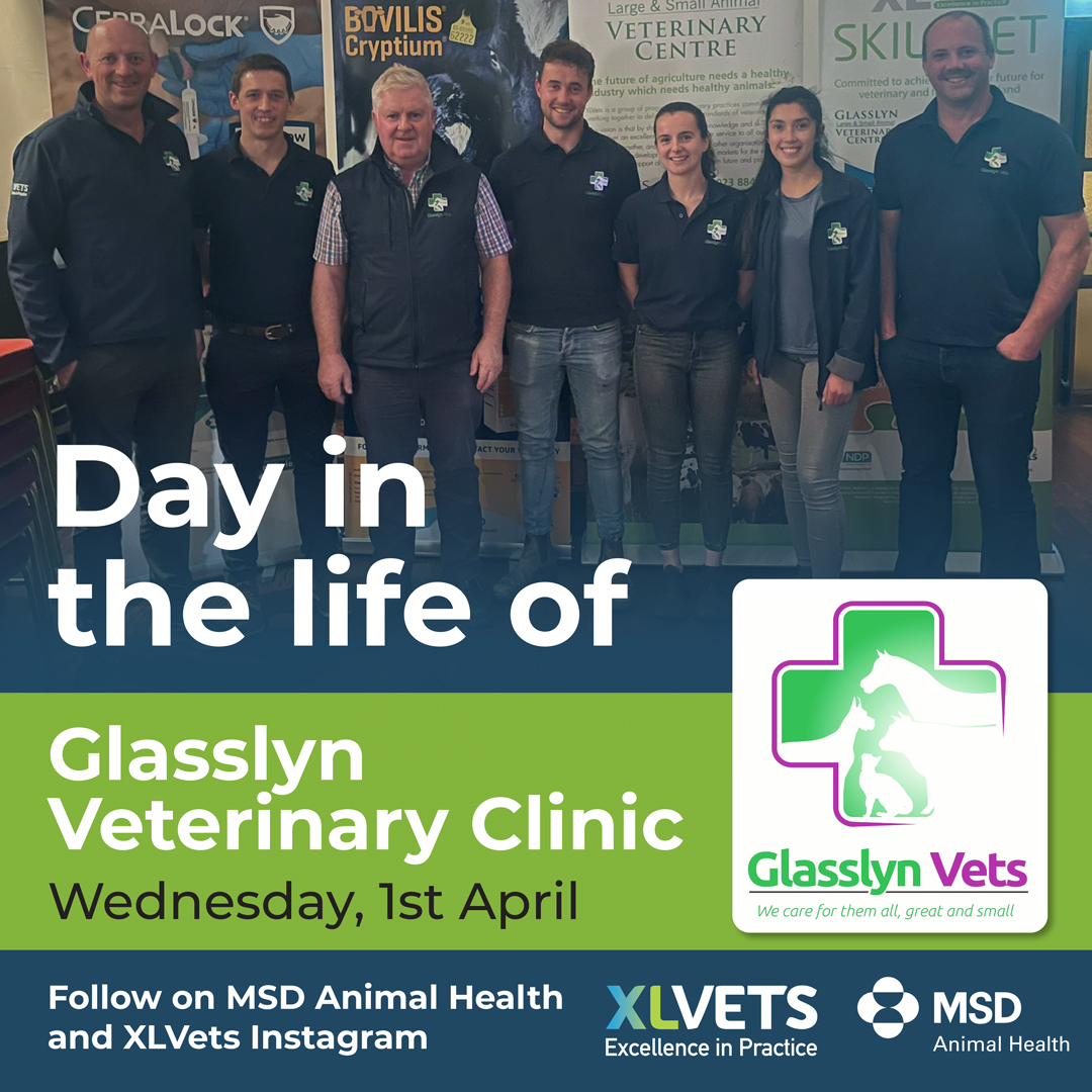 MSD Animal Health - Livestock tweet media