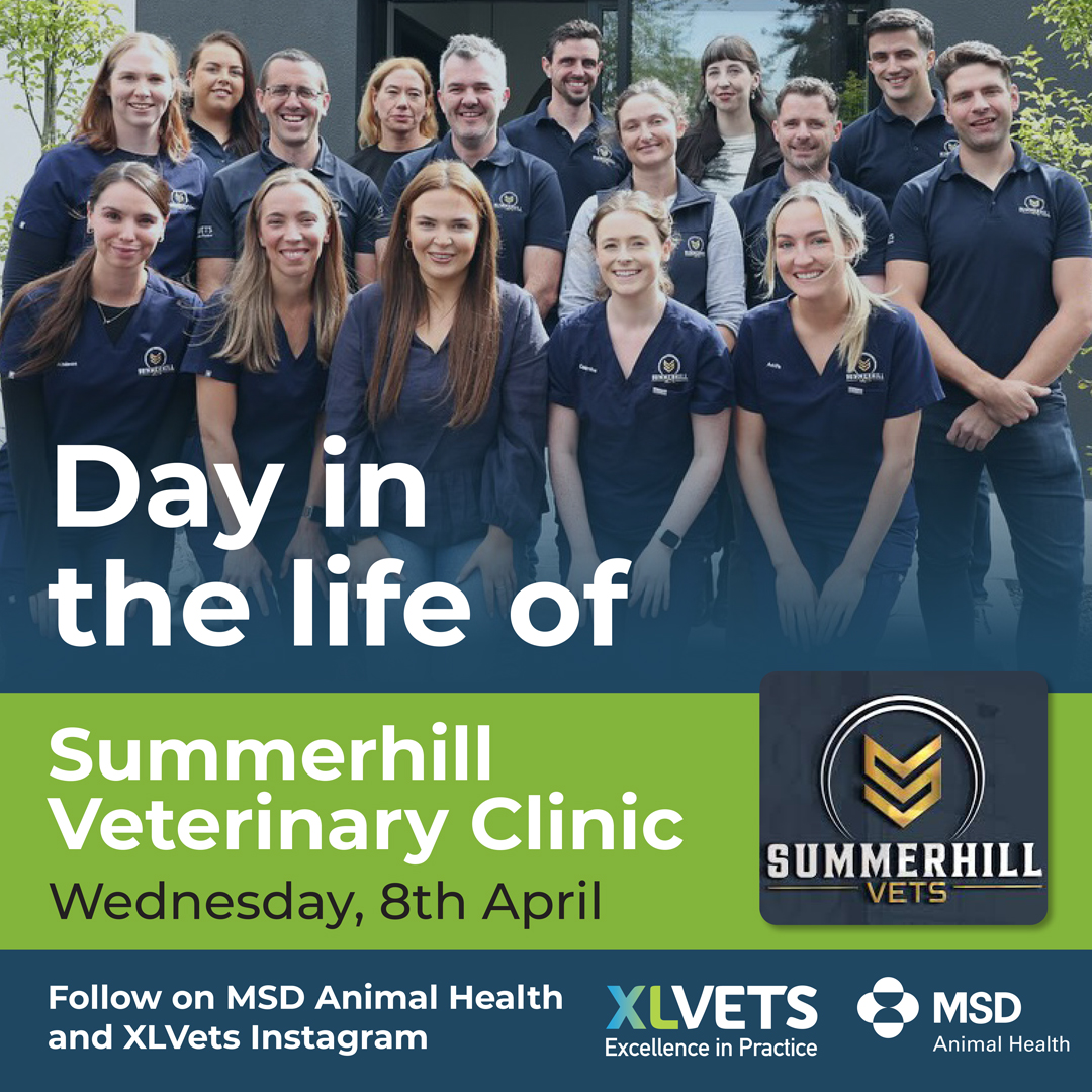 MSD Animal Health - Livestock tweet media