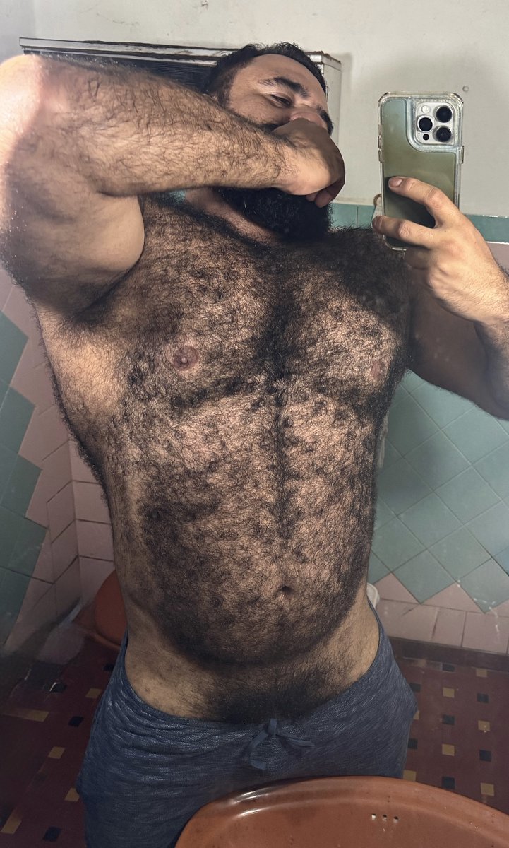 Bear Woof Br tweet media