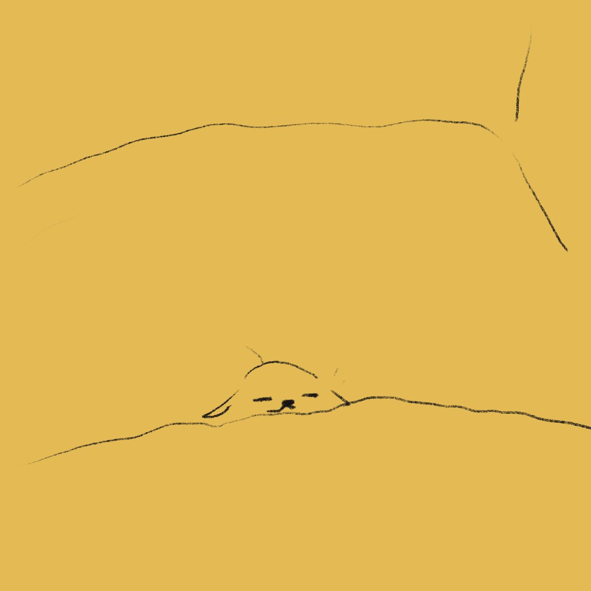 リポ・トウ tweet media