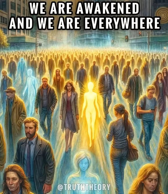 lisahsmithlhs tweet media