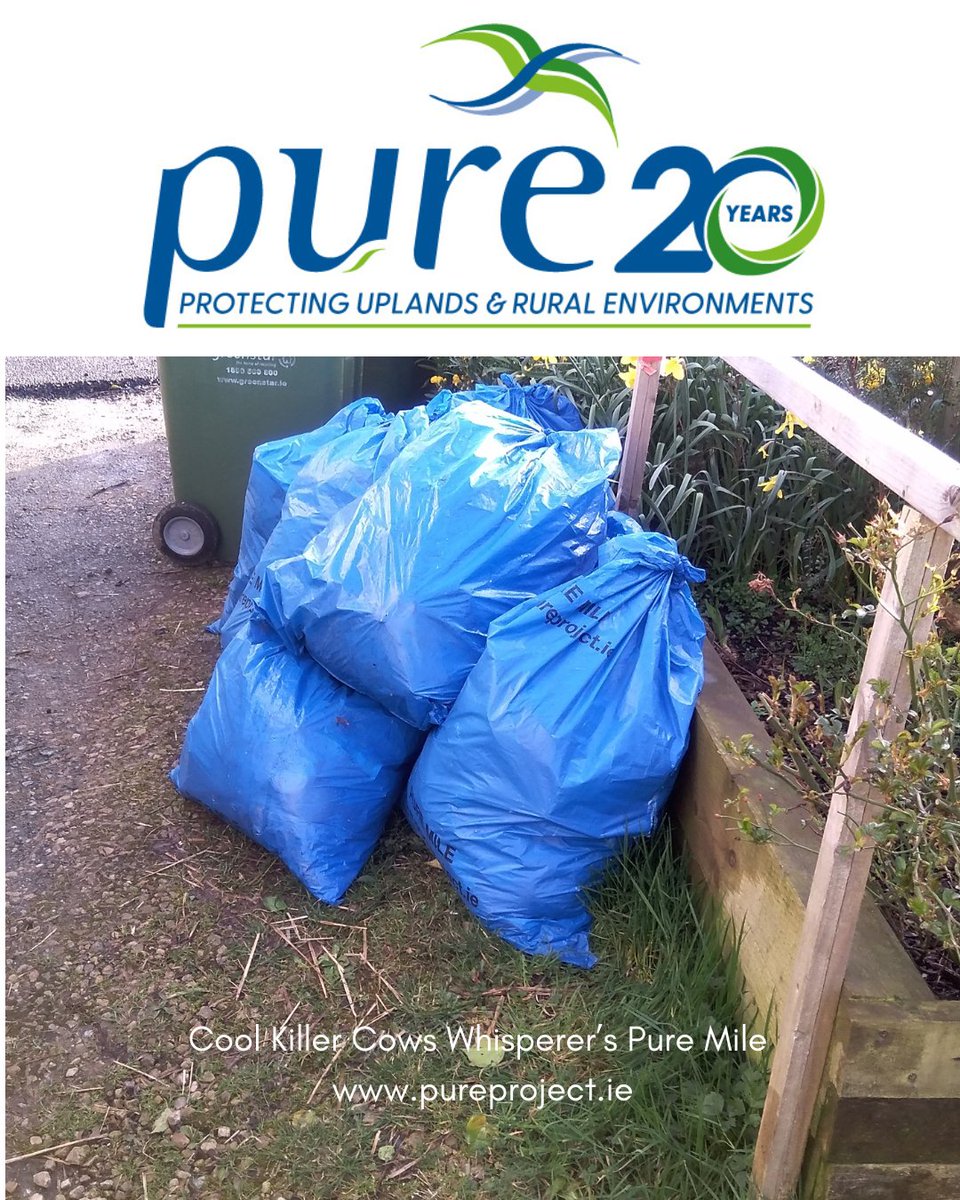 Pure Project tweet media