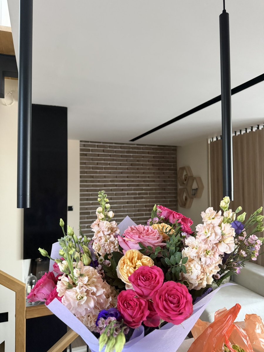 краСивият Кардинал tweet media