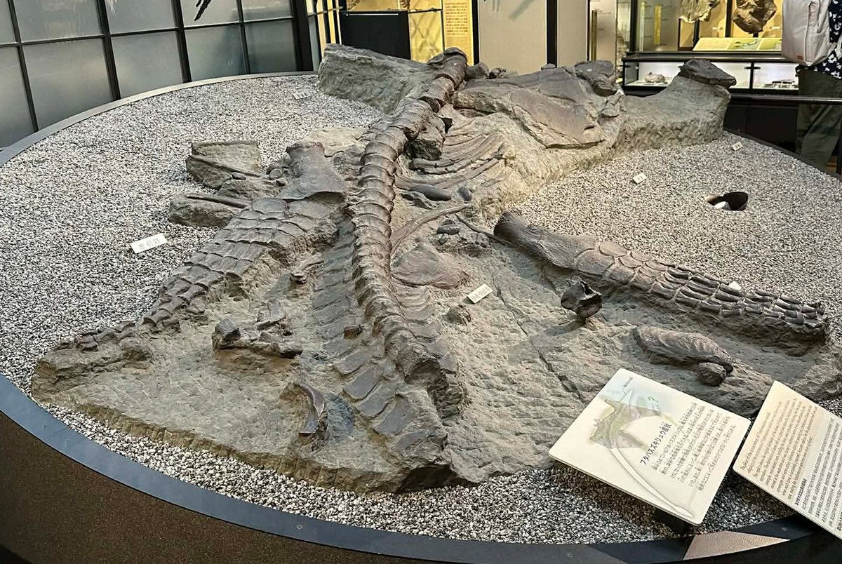 Sven Sachs tweet media